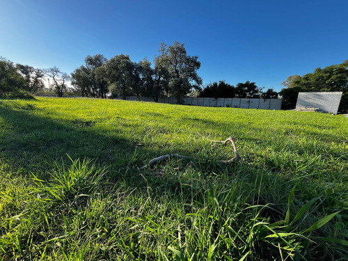 Terreno/lote En Venta Y Alquiler En Parque Industrial Polo 21- Merlo-