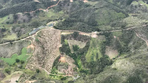 Lote De 5.000 M2 En San Vicente Ferrer, Vereda Montegrande Vía A Concepción