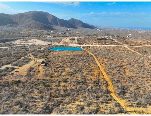 Cerritos Dreaming, Pescadero, Bcs