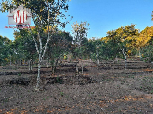 Imagem 30 de 30 de Ótima Chácara Com 4 Dormitórios, Edícula, Salão De Jogos, Pomar, Horta, Bem Localizada, À Venda, 5000 M² Por R$ 630.000 - Zona Rural - Pinhalzinho/sp - Ch0984