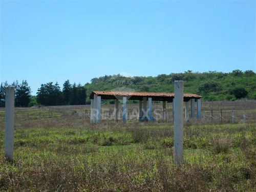 Imagen 10 de 15 de Ctvrancho En Venta Tequisquiapan Querétaro - (2)