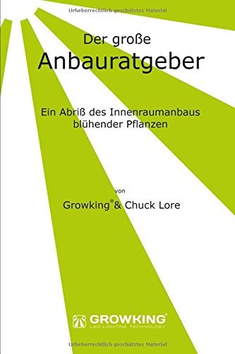 Der Grose Anbauratgeber Ein Abris Des Innenraumanbaus Blühe