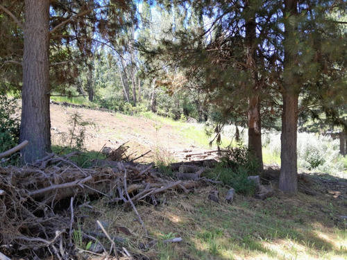 Excelente Lote En Venta Sobre Callejón De Gingins, Sobre El Acceso A La Casona Del Alto, San Martín De Los Andes, Neuquén, Patagonia Argentina