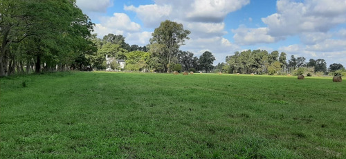 Imagen 8 de 8 de Lotes Baldíos De 753 M2 En Cañuelas (ref: El Retiro)