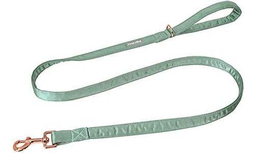 Lionet Paws Juego De Collar Y Correa De Seda Para Perro, Col