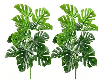2pcs Plantas Artificiais Costela De Adão Com 18 Folhas