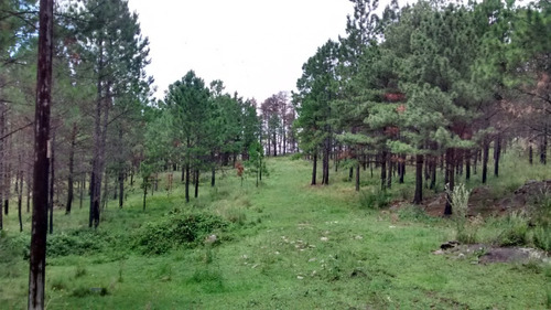 Urgente: Yacanto De Calamuchita, 2,25 Ha Arboladas, Luz, Vertiente, Escritura