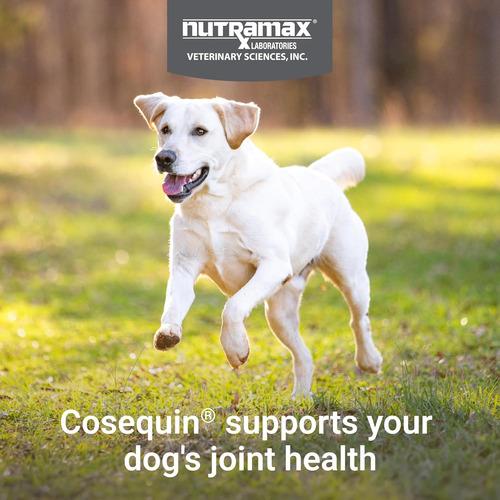 Sumplemento Para Perros Nutramax Laboratories (250 Comp)