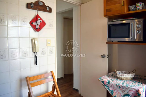 Ideal Para Disfrutar De Sus Vacaciones