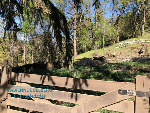Imagen 17 de 30 de Terreno Apto Desarrollo Lote Centro 6686 M2 - San Martin De Los Andes
