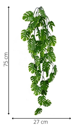 Kit 6 Pendente De Mini Costela De Adão Decoração Muro Inglês