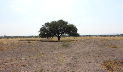 Terreno En Venta En Pedro Escobedo