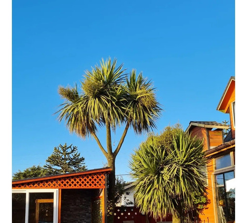 Casa En Ancud 400m2 Con Piscina Con Vista A La Ciudad