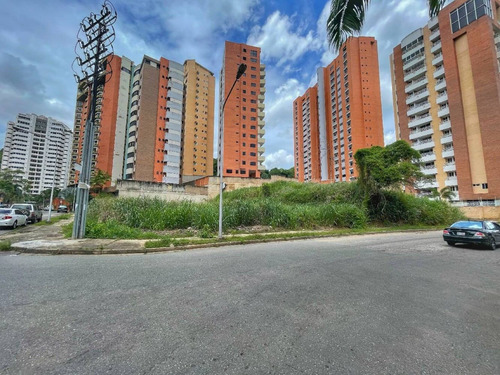 Imagen 12 de 14 de Terreno En Venta En El Bosque