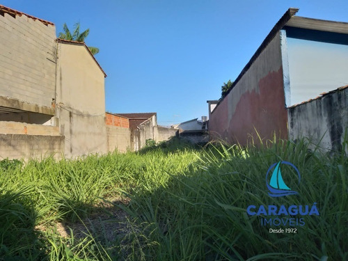 Imagem 2 de 4 de Terreno - Te00354 - 69892651