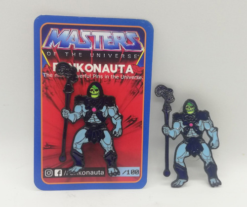 Pin Skeletor Motu Heman Masters Of The Universe #funkonauta