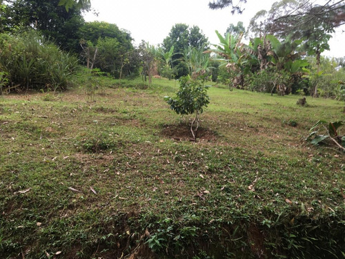 Imagem 20 de 30 de Chácara De Frente Para Represa Ideal Para Moradia E Lazer. - 289 - 34050183