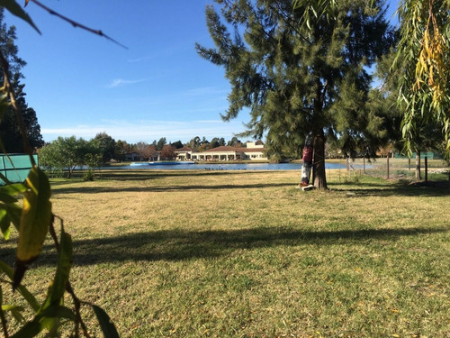 Imagen 4 de 29 de Venta De Lote Premium En Miralagos I