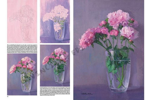 Coleção Leonardo Vol. 22 - Desenho E Pintura - Flores