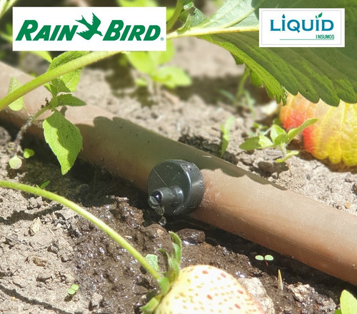 Imagen 2 de 7 de Gotero 4 Lts/hs Autocompensado Rain Bird (100 Un.) Huerta