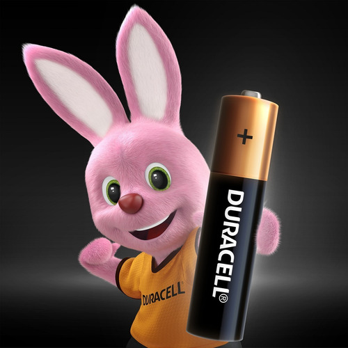 Pilha Alcalina Aaa Duracell 8 Unidades