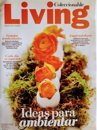 Revista Living Coleccionable  N° 38 Noviembre 2013