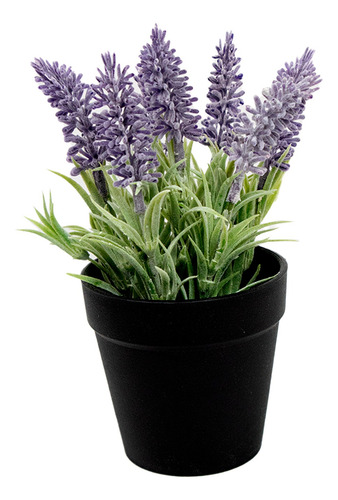 Kit 2 Planta Lavanda En Maceta Plástico Interior Hogar 20cm