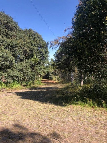 Imagen 8 de 12 de Venta De Terrenos En Amealco De Bonfil, Querétaro