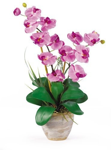 Orquídea De Seda Doble Phalaenopsis Mauve