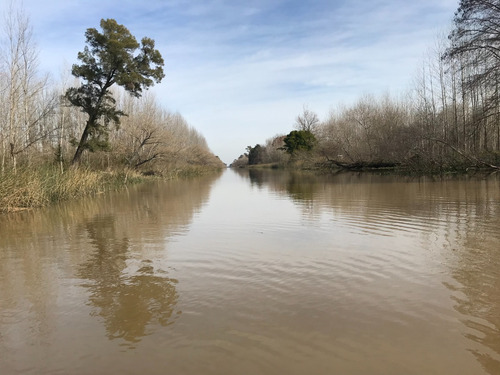 Quinta De 7,6 Hectáreas Con Acceso Terrestre Y Fluvial, Con Cabaña Y Deck.