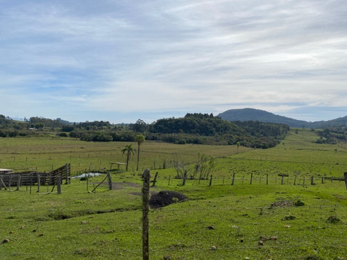 Chácara 20.000 M² - Espinheirinhos - Santo Antonio Da Patrulha - Rs - 2381 - 68129851