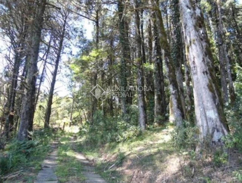 Imagem 6 de 12 de Terreno - Vila Suica - Ref: 292633 - V-292633
