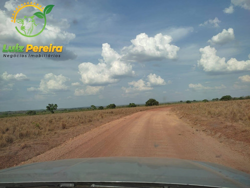 Imagem 3 de 12 de Fazenda À Venda Em Abreulândia - Pa - 1.427,8 Hectare (dupla Aptidão) - 2038