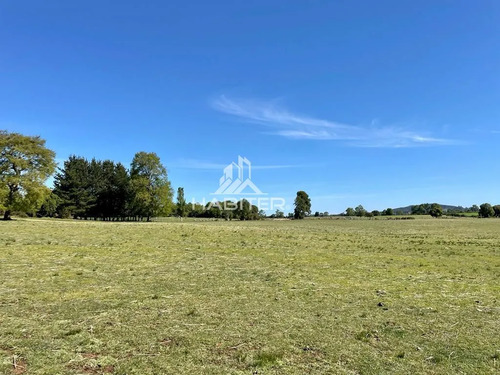 Cod35266 Vende Agrícola Campo De 36 Ha. Indigena En Lautaro