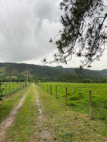 Imagem 10 de 14 de S02 - Terreno Bom E Barato