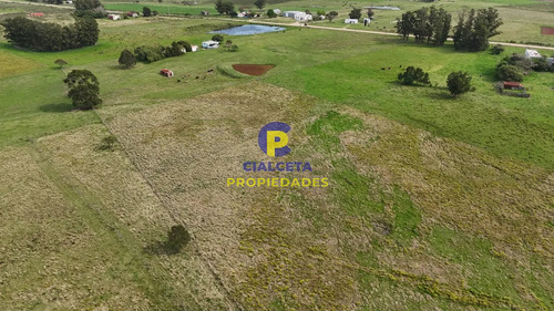 5 Hectáreas En Canelones, Zona De Noya