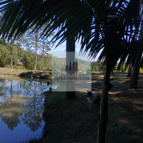 Imagem 21 de 22 de Sitio À Venda Em Piedade - Sp, 67760m² 3 Casas, Campo De Futebol E Lago.