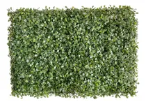 Comprar Malla De Hojas Topiario (1m2) Floripastore
