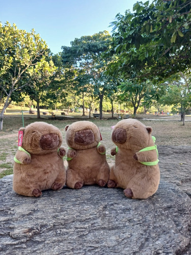 Juguete De Peluche De Capibara Con Tortuga Capybara