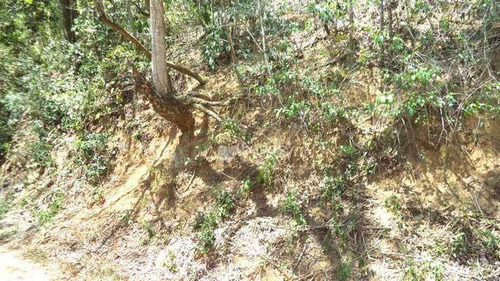 Imagem 1 de 4 de Terreno À Venda, 494 M² Por R$ 130.000,00 - Engenho Do Mato - Niterói/rj - Te3792