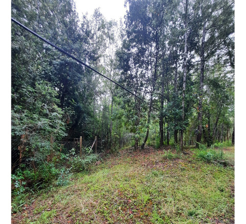 Los Jardines De Caburgua, Sector Riffo, Pucon