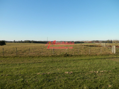 Imagen 4 de 4 de Venta De Chacras Manantiales