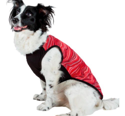 Remeras Y Musculosas Para Perros Grandes Rebel Psycho