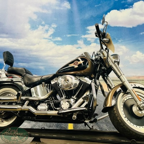 Harley Davidson /fat Boy 