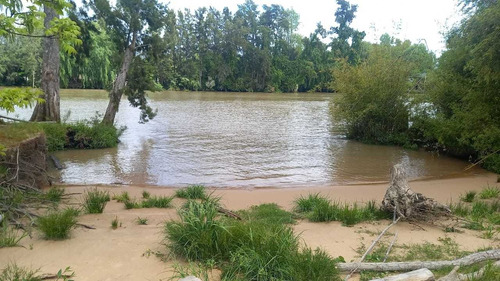 Dueño Vende Trece Hectareas Ideal Cabañas   