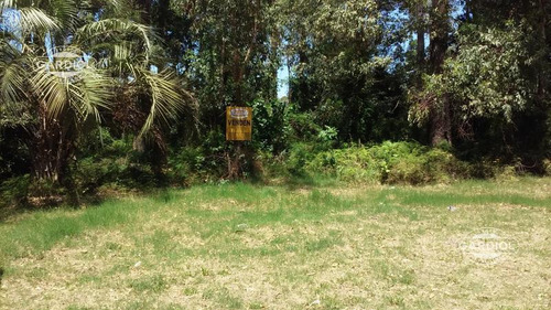 Venta. Terreno En Santa Ana. Colonia