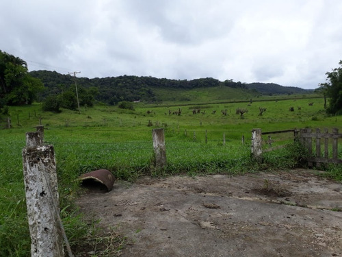 Fazenda - Fa00002 - 34684872