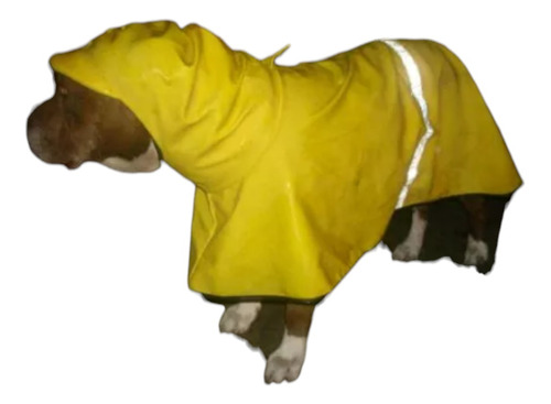 Impermeable Con Gorro Talla 10 Para Perro Raza Grande