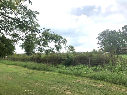 Imagen 2 de 3 de Venta | Terreno En Villa Lía