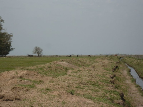 Imagen 2 de 17 de Campo En Cañuelas